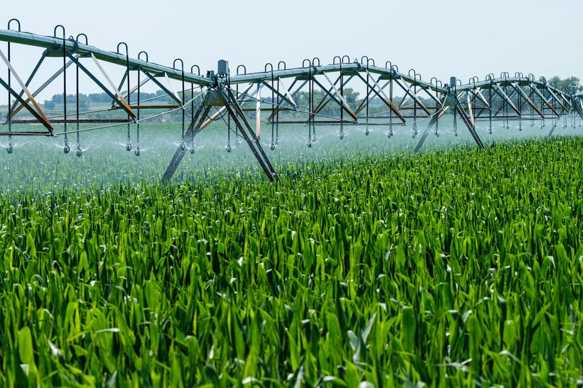 An irrigation pivot in a cultivated field