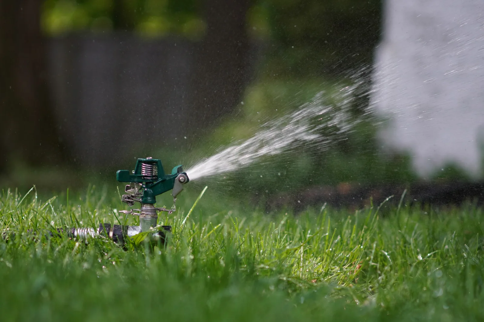 An impact sprinkler watering a green lawn