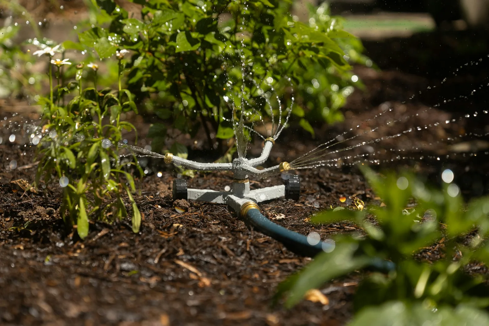 A rotary sprinkler watering plants in a garden bed