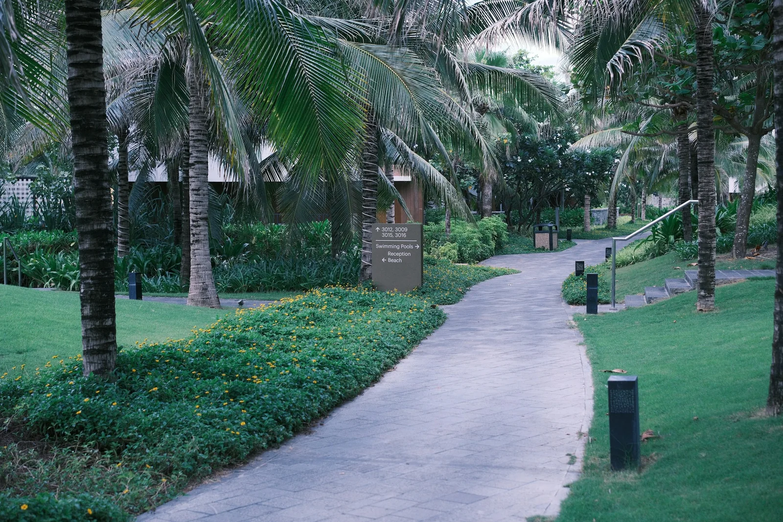 A path through a landscaped garden with palms and planting beds